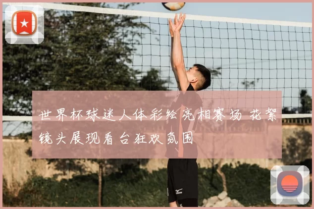 世界杯球迷人体彩绘亮相赛场 花絮镜头展现看台狂欢氛围
