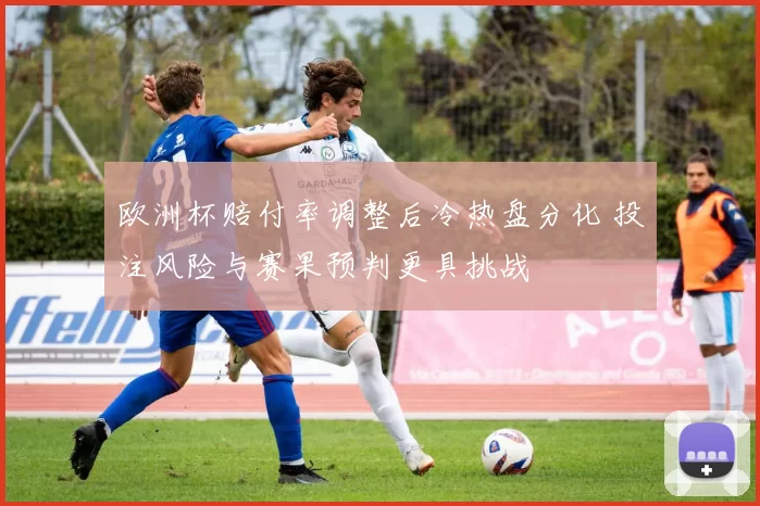 欧洲杯赔付率调整后冷热盘分化 投注风险与赛果预判更具挑战