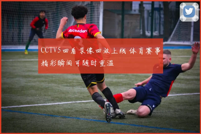 CCTV5回看录像回放上线 体育赛事精彩瞬间可随时重温