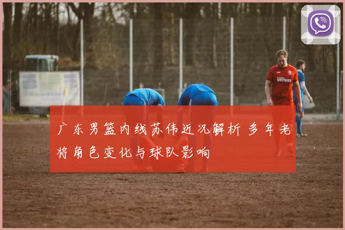 广东男篮内线苏伟近况解析 多年老将角色变化与球队影响