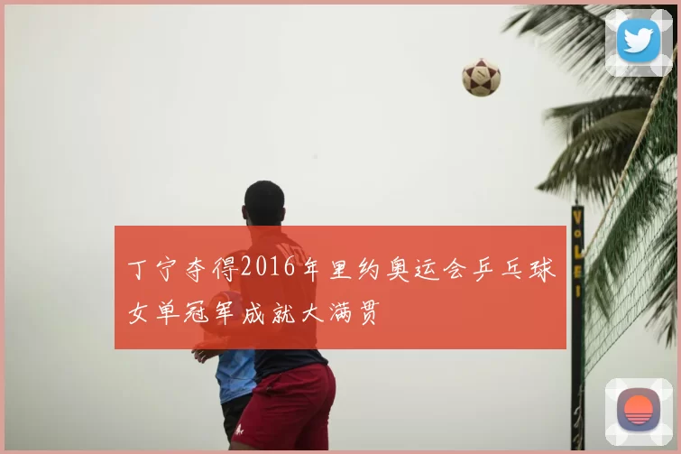 丁宁夺得2016年里约奥运会乒乓球女单冠军成就大满贯